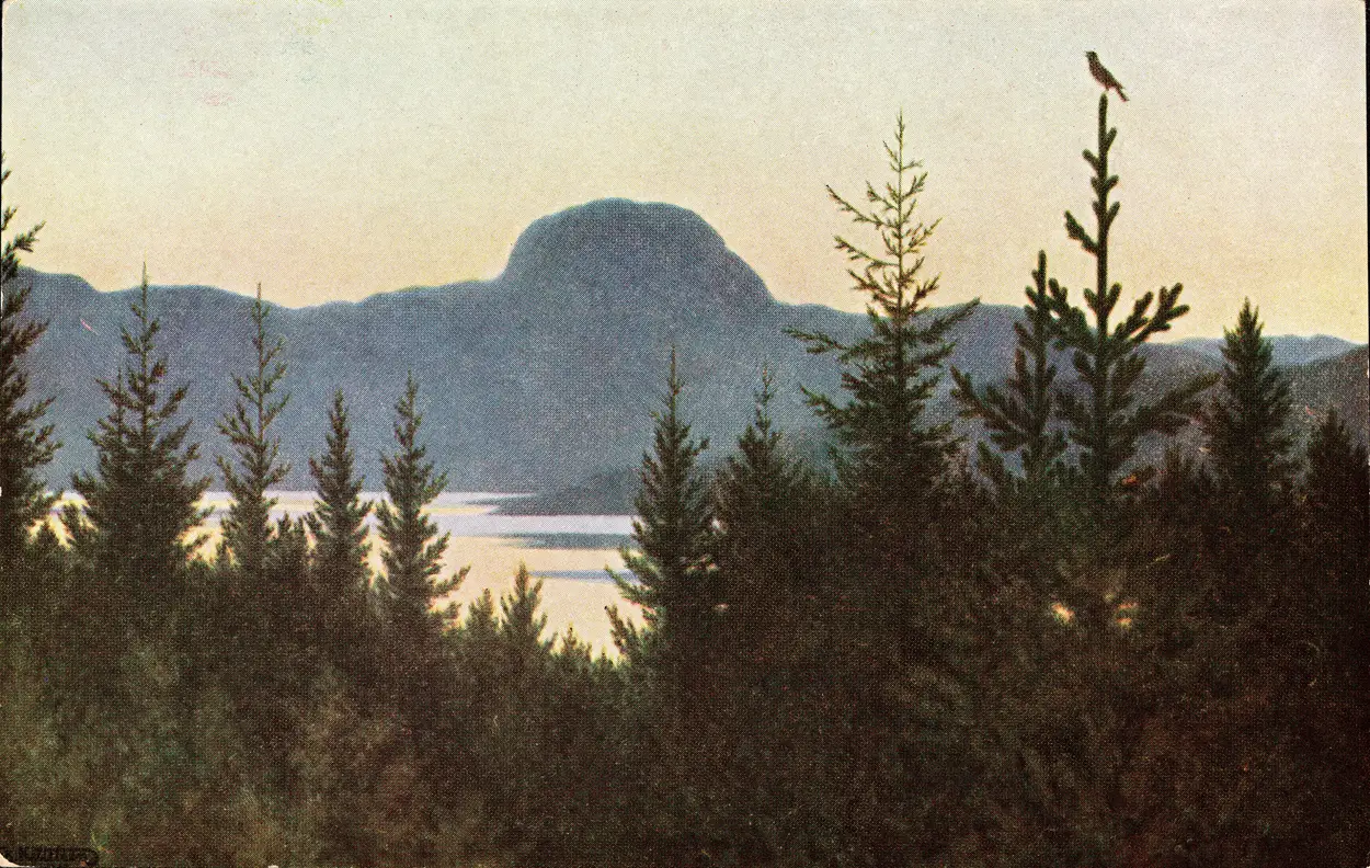Kittelsen's Andersnatten — the dome-topped Eggedal mountain dark against a pale dusk sky over the lake, a spruce fringe in the foreground and a bird perched on the tallest tree; from a Nasjonalbiblioteket postcard reproduction.