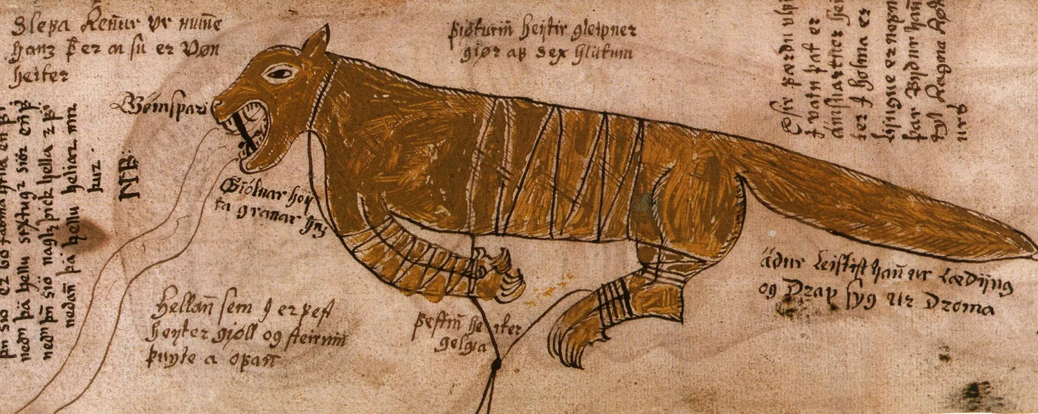 The bound Fenrir in a 1680 Icelandic manuscript — an ochre wolf wrapped in Gleipnir's cords, a sword propping his jaws open, the river of drool running from his mouth past notes in Icelandic script.