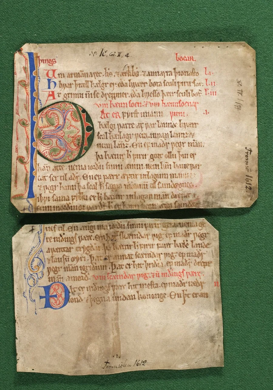 Two parchment fragments of the Frostatingslova, c. 1260 — medieval book-hand in two columns with red rubrics and ornamented initials in blue, red, and green.