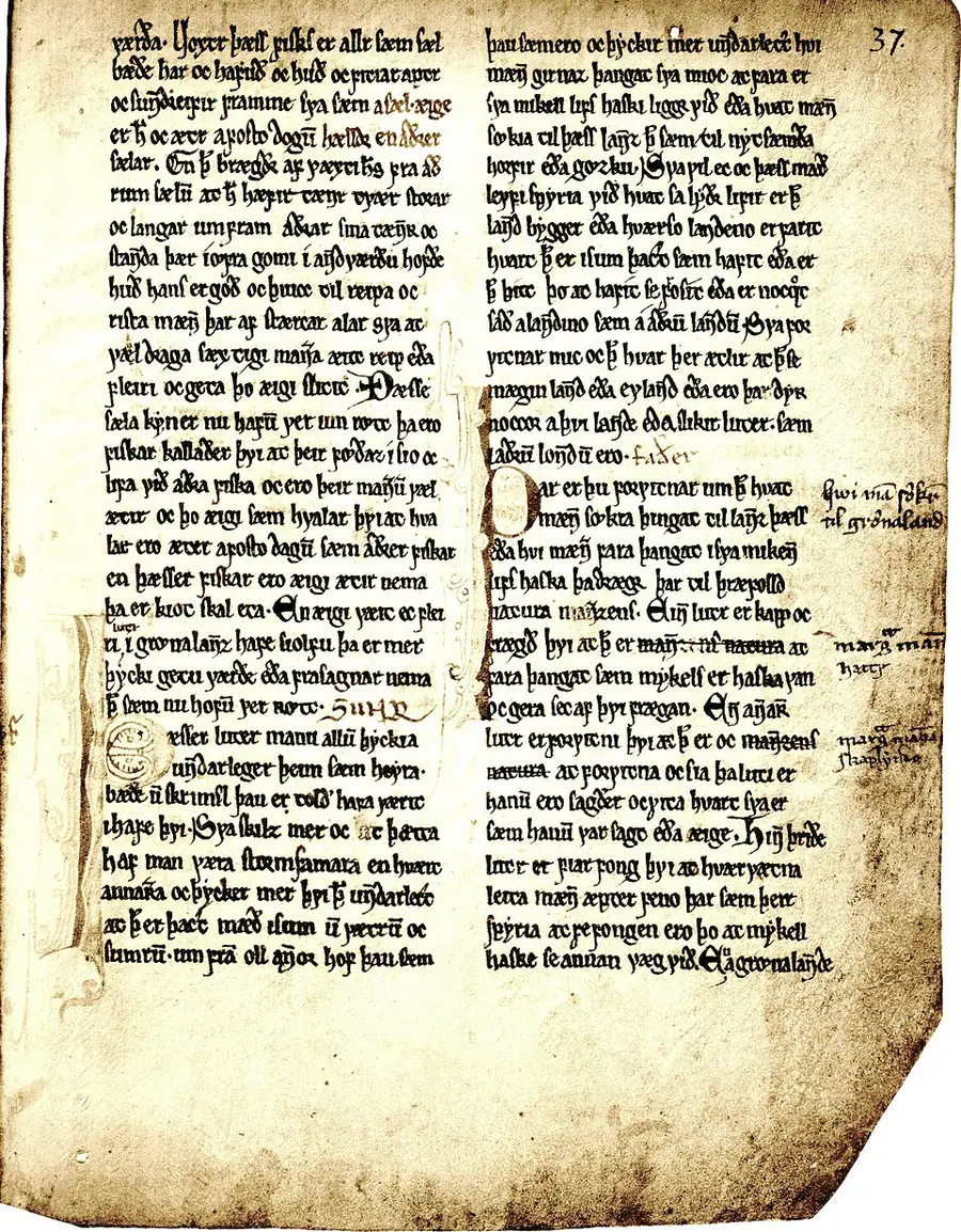 A medieval manuscript leaf of the Konungs skuggsjá (King's Mirror), page 37, in dense two-column Gothic script with a rubricated red initial and later marginal annotations, on aged, browned vellum with a damaged lower corner.