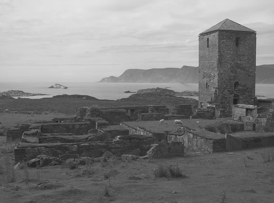 1948 photograph on Selja: the stone tower of the monastery rises over the low walls of the ruins, sheep grazing among them, with the sea, skerries and the cliffs of the Stad coast stretching away behind.