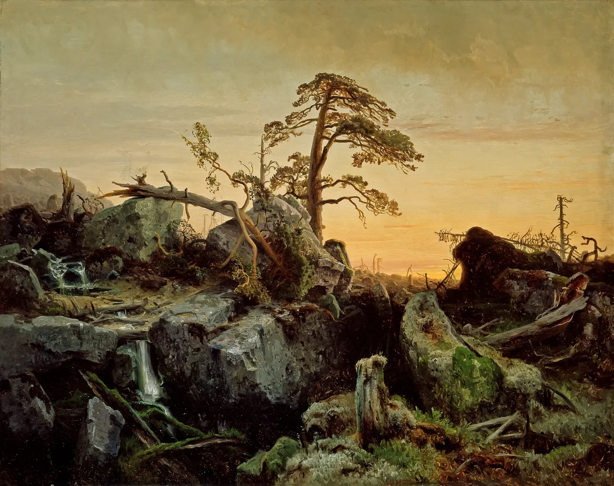 August Cappelen's 1852 painting of a dying primeval forest — a lone wind-shaped pine crowning a chaos of moss-grown boulders and fallen trunks, dead snags on the skyline, thin threads of water dropping through the rocks, all against a fading yellow evening sky.